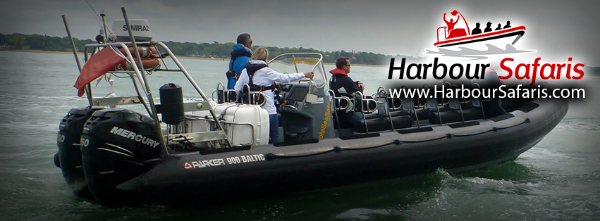 Harbour Safaris Boat Tours Bahamas