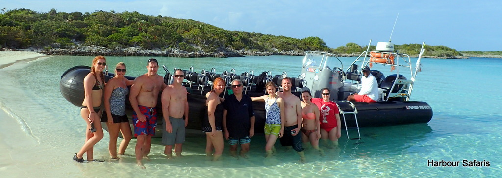 swimming pigs exuma