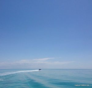 Exuma Bahamas Private Boat Charter