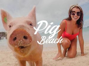 pig_beach_cómo_llegar_tips_bahamas_exuma_island_playa_cerdos_nadadores_chanchos